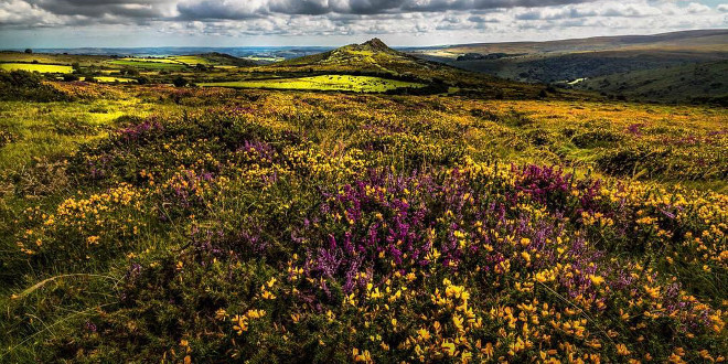 Broadleigh farm is surrounded by area of outstanding natural beauty